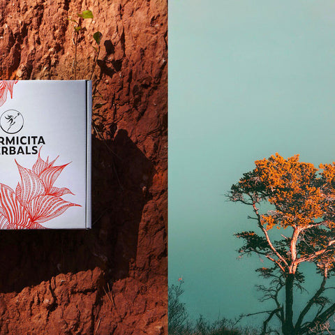 Warmicita Herbals Herbal Wellness Programs