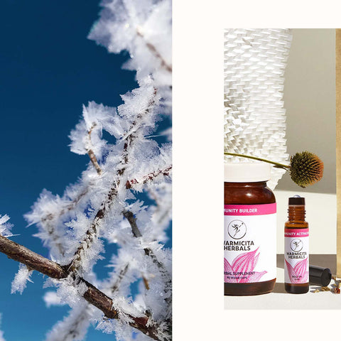 Warmicita Herbals Immune Master