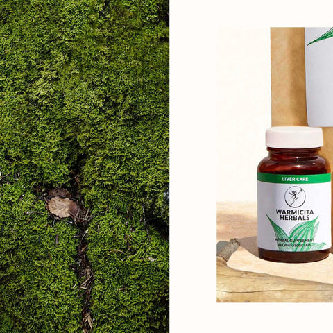 Warmicita Herbals Digest & Assimilate Herbal Wellness Program
