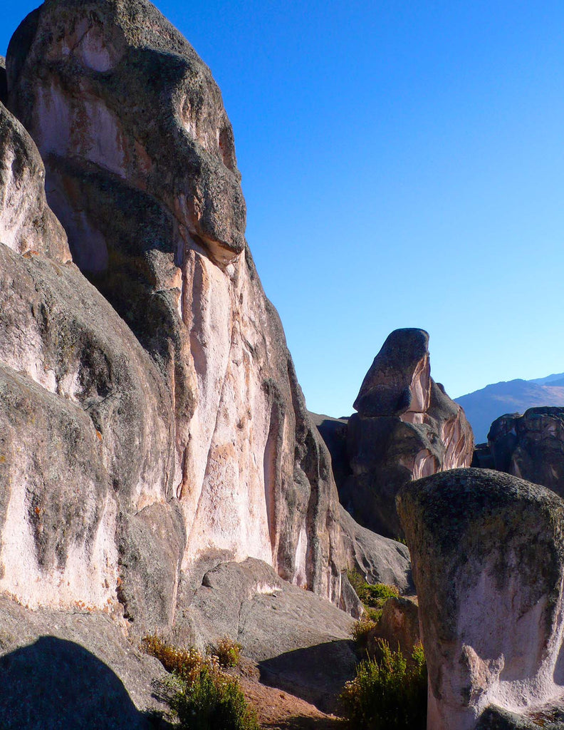 Majestic Medicine of the Mountains: "The mountains are in you."