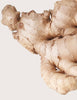 Warmicita Herbals Ginger